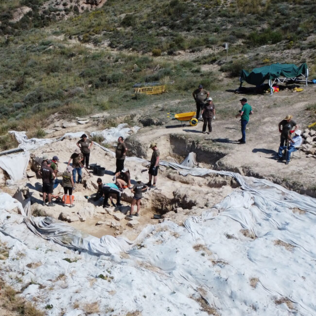 Yacimiento de Resa. Campaña 2024